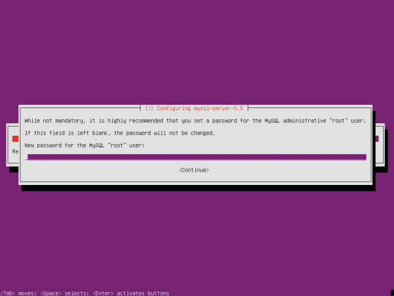 mysql server